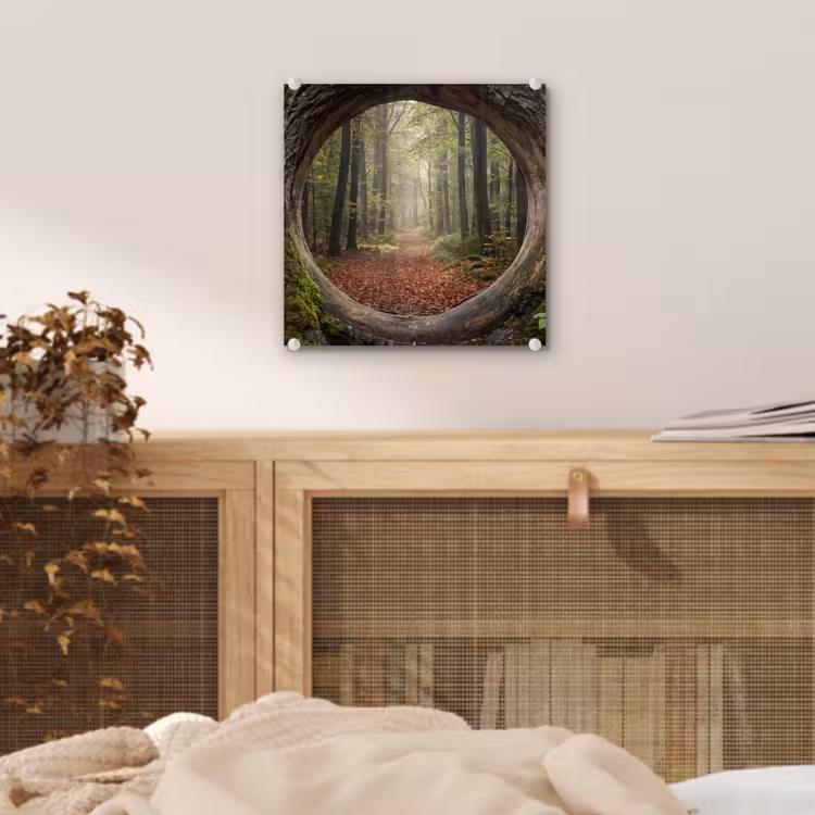 Glas schilderij - Boom - Bos - Natuur — 5