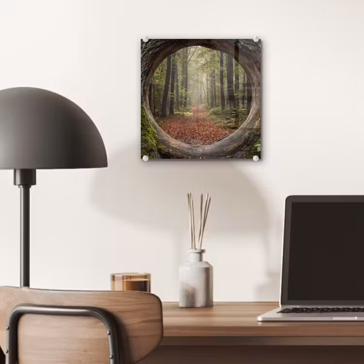 Glas schilderij - Boom - Bos - Natuur — 7