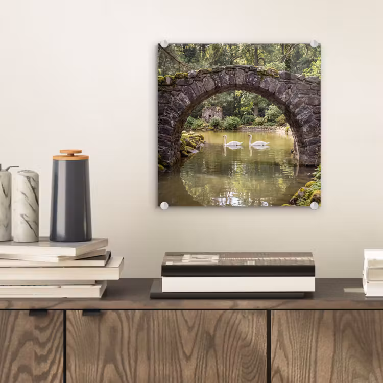 Glas schilderij - Vogel - Water - Natuur — 2