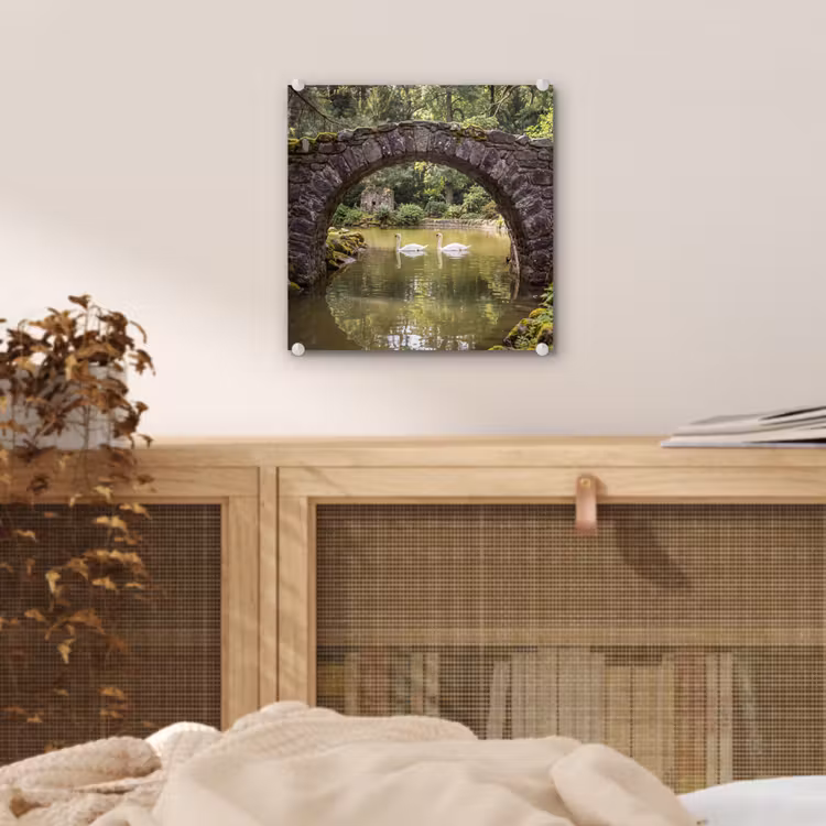 Glas schilderij - Vogel - Water - Natuur — 5