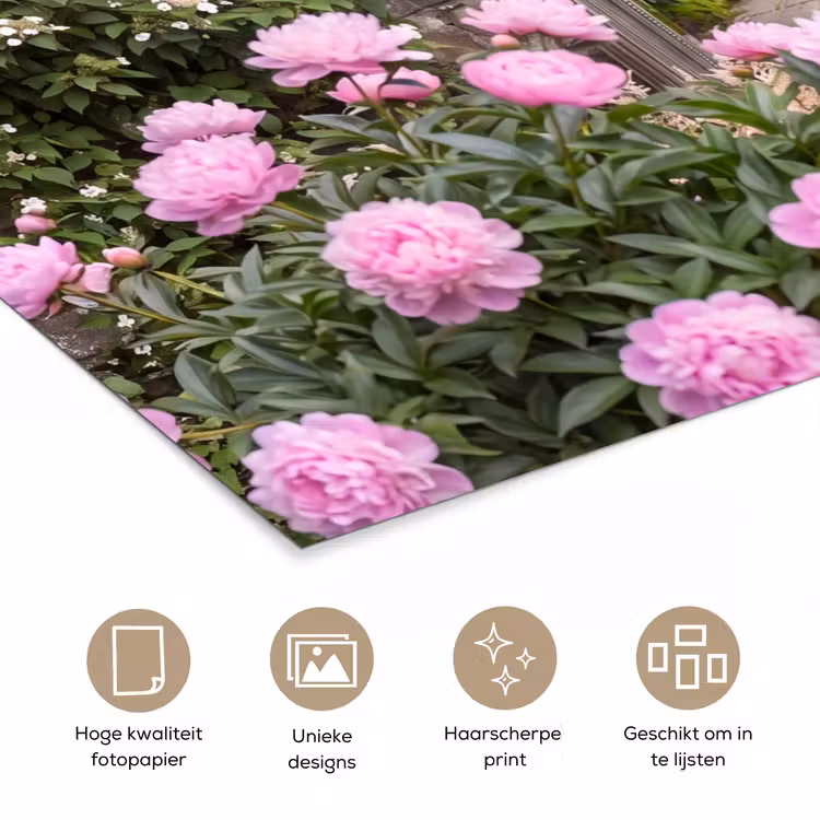 Poster - Spiegel - Tuin - Bloemen — 5