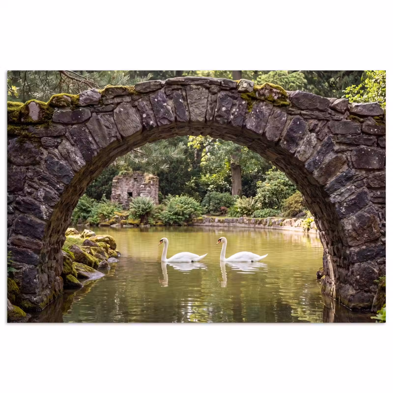Poster - Vogel - Water - Natuur — 1