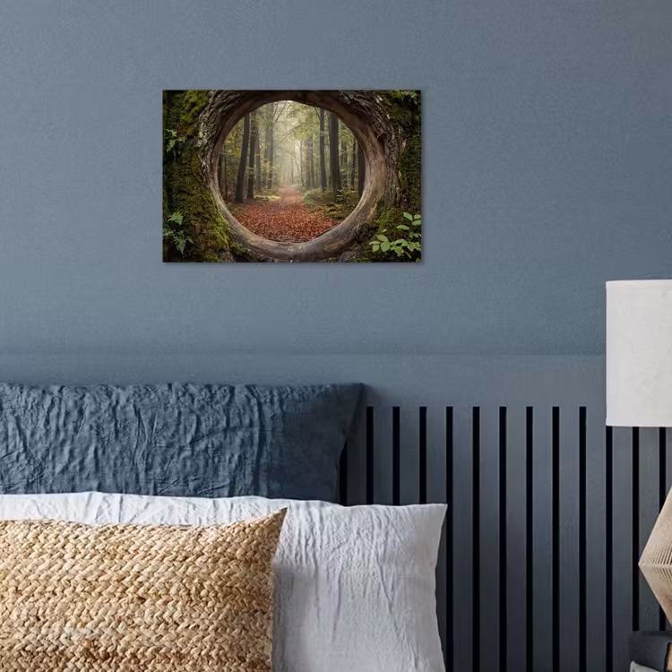 Poster - Boom - Bos - Natuur — 3