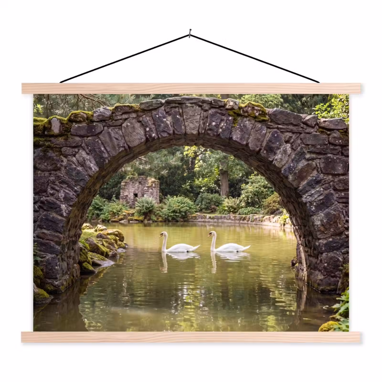 Schoolplaat - Vogel - Water - Natuur — 1