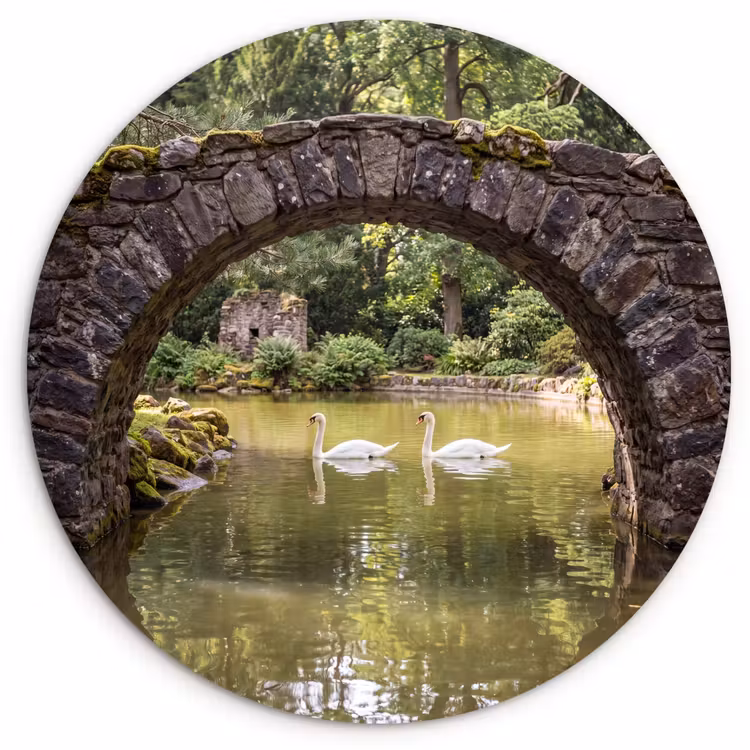 Wandcirkel - Glas - Vogel - Water - Natuur — 1