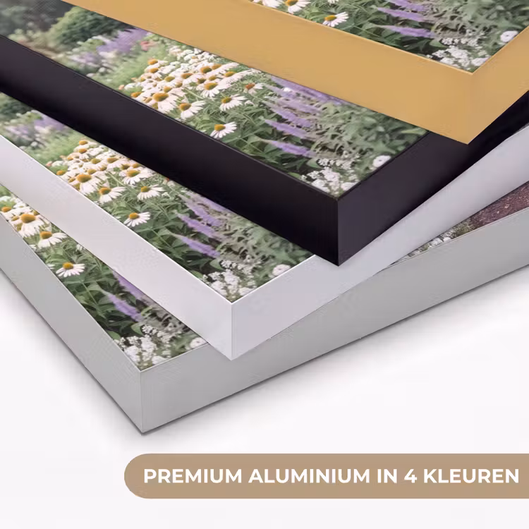 Art Frame - Boog - Tuin - Natuur — 2