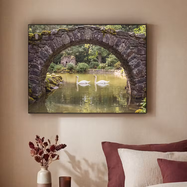 Art Frame - Vogel - Water - Natuur — 3