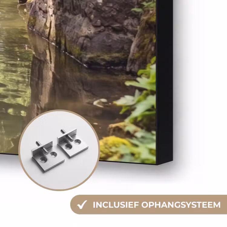 Art Frame - Vogel - Water - Natuur — 6