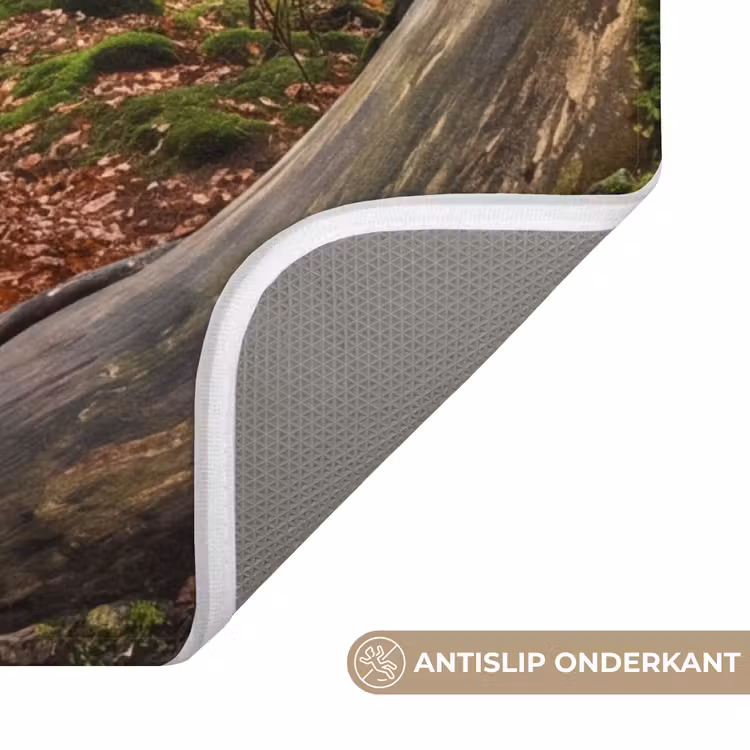 Wc Mat - Boom - Bos - Natuur — 4
