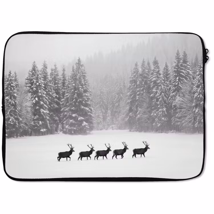 Laptophoes - Natuur - Bos - Winter — 1