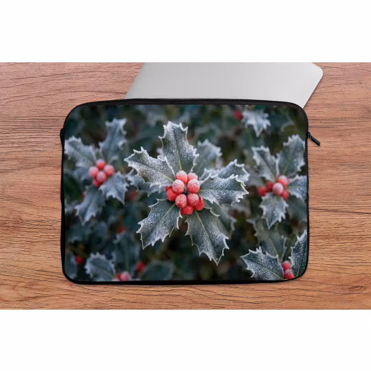 Laptophoes - Plant - Berijpte - Winter — 2
