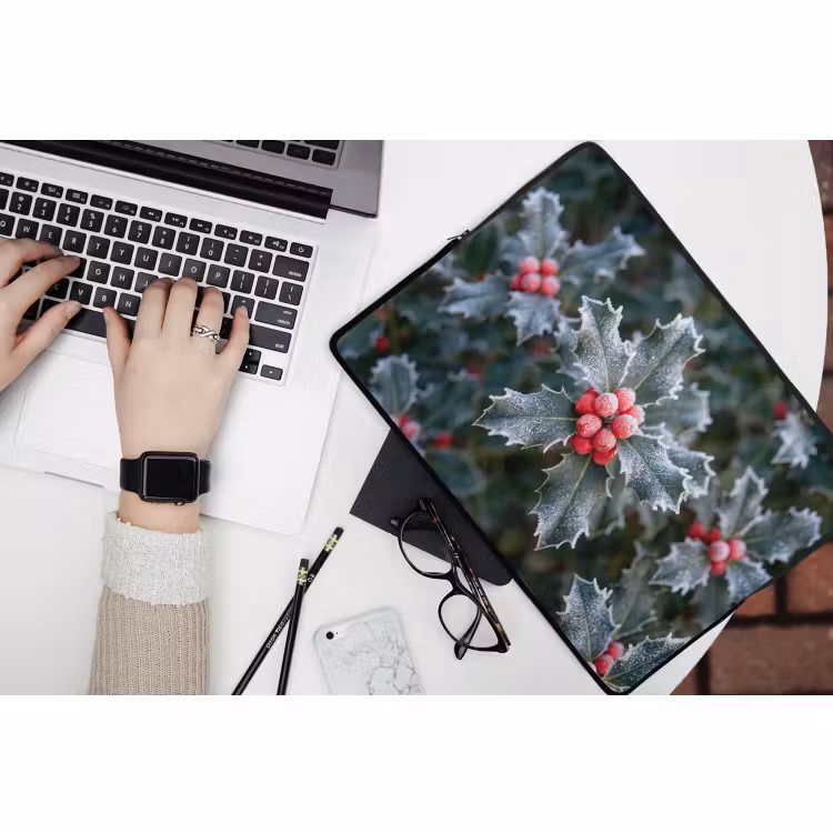Laptophoes - Plant - Berijpte - Winter — 3