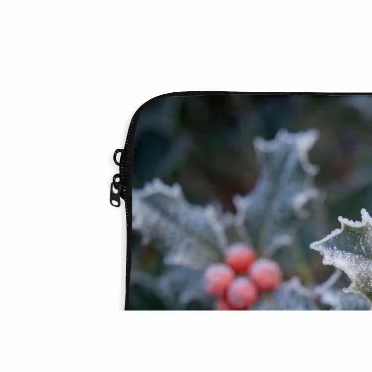 Laptophoes - Plant - Berijpte - Winter — 5