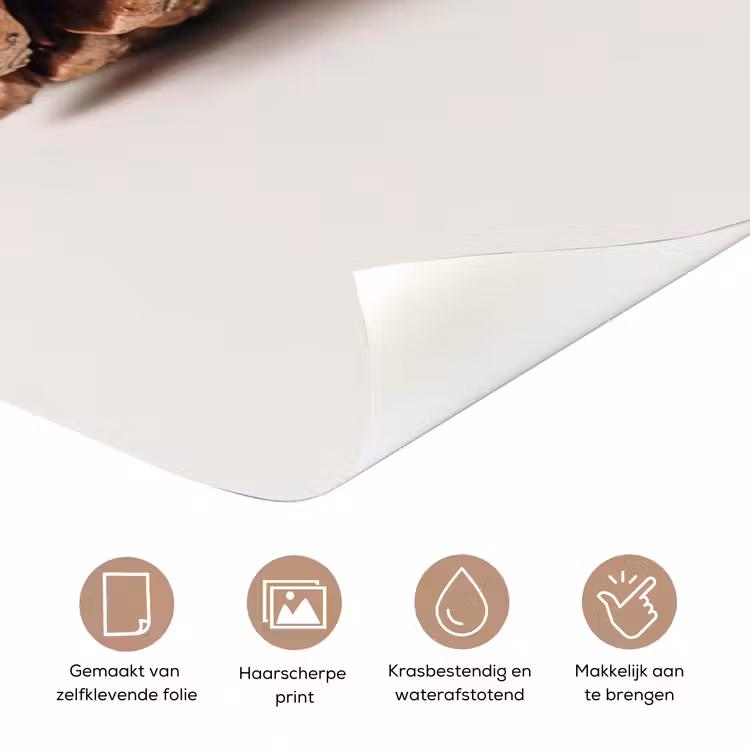 Deursticker - Denappel - Natuur - Bruin — 3