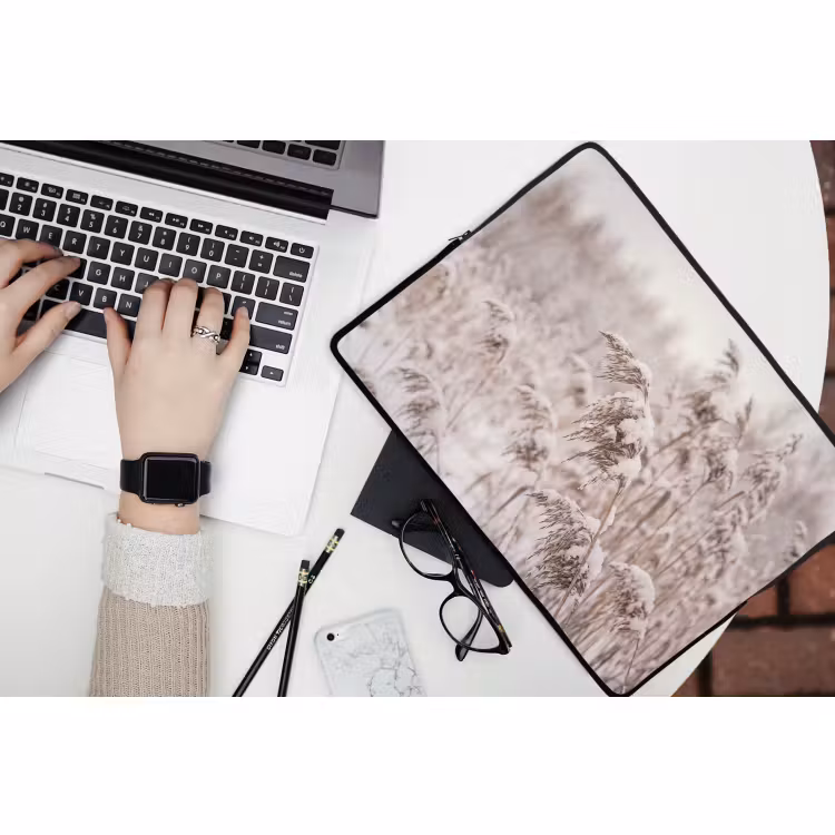 Laptophoes - Riet - Sneeuw - Winter — 3