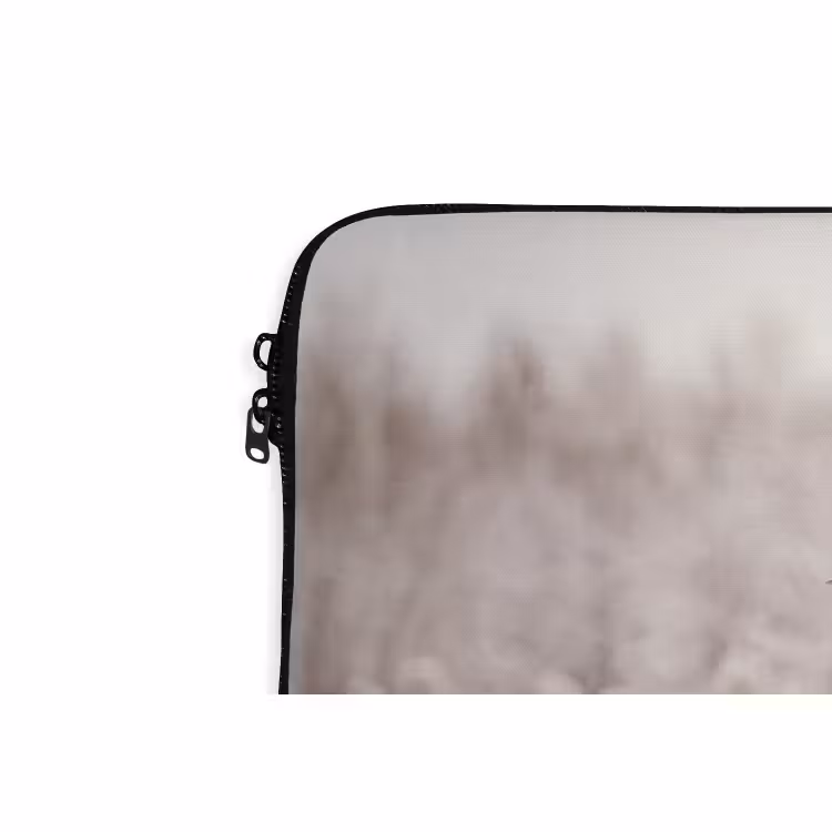 Laptophoes - Riet - Sneeuw - Winter — 5
