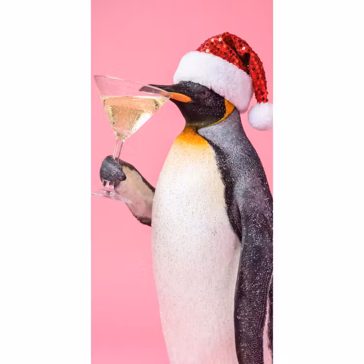 Behang - Pinguïn - Kerst - Feest — 2