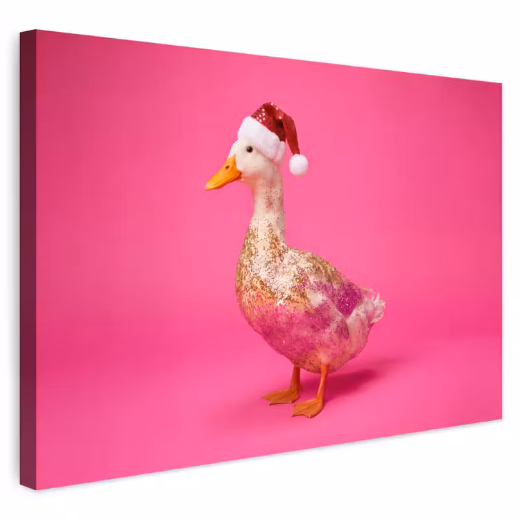 Buiten canvas - Vogel - Kerst - Roze — 1