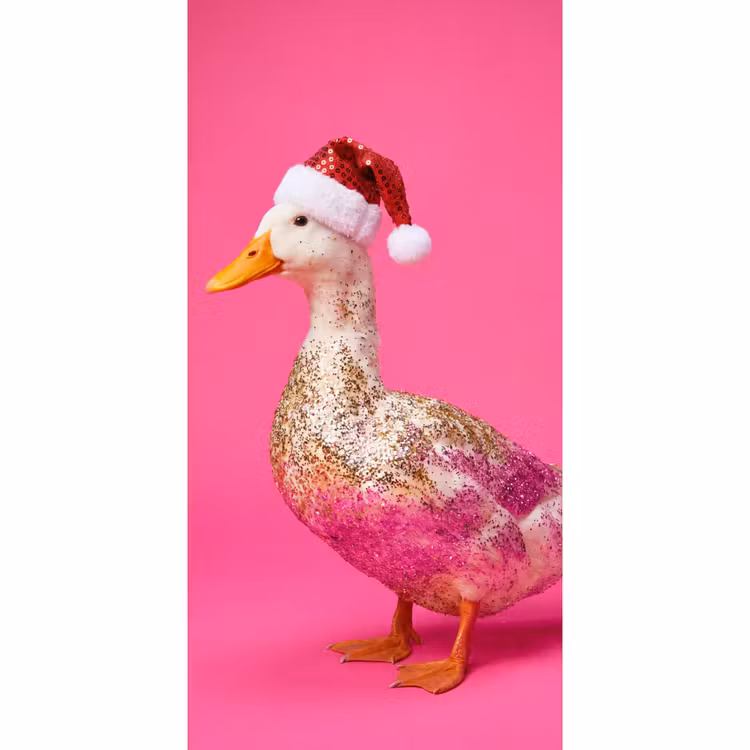 Behang - Vogel - Kerst - Roze — 2