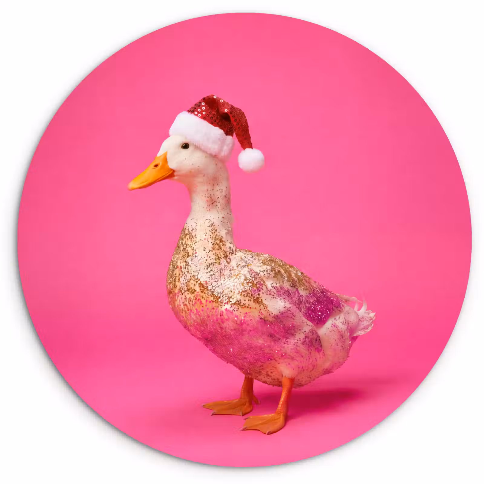Wandcirkel - Glas - Vogel - Kerst - Roze — 1