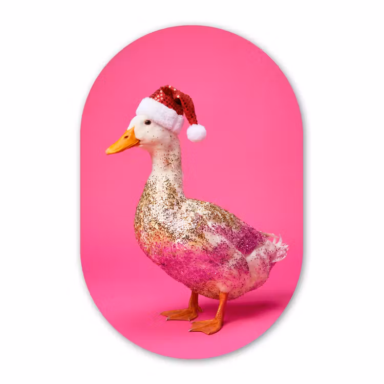 Muurovaal - Glas - Vogel - Kerst - Roze — 1