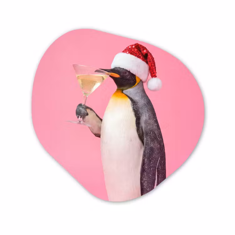 Organisch schilderij - Glas - Pinguïn - Kerst - Feest — 1