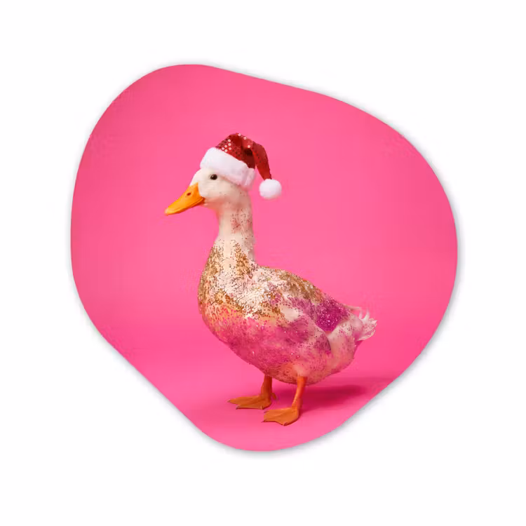 Organisch schilderij - Glas - Vogel - Kerst - Roze