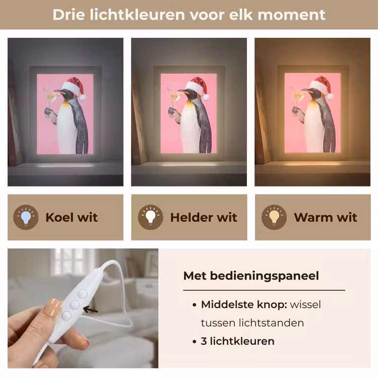 Gepersonaliseerde Lightbox - Pinguïn - Kerst - Feest — 6