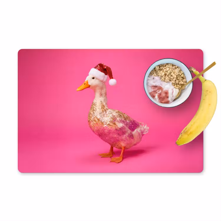 Placemat - 6 stuks - Vogel - Kerst - Roze