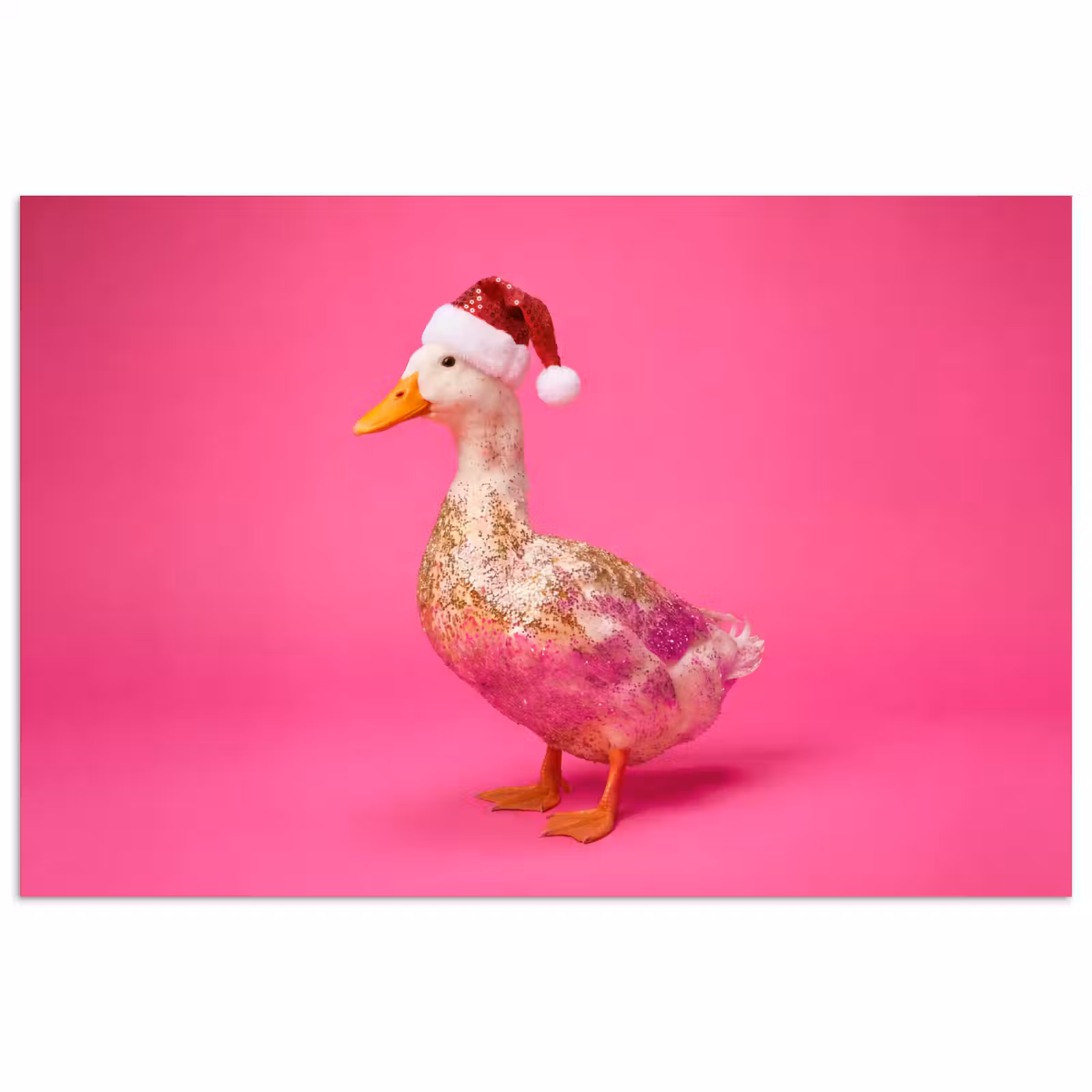 Poster - Vogel - Kerst - Roze — 1