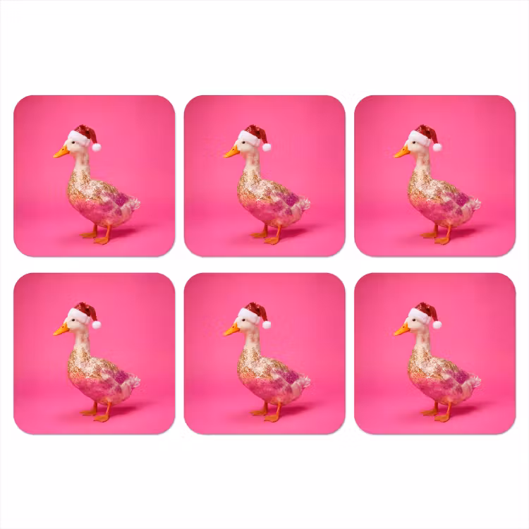 Onderzetter - Vogel - Kerst - Roze