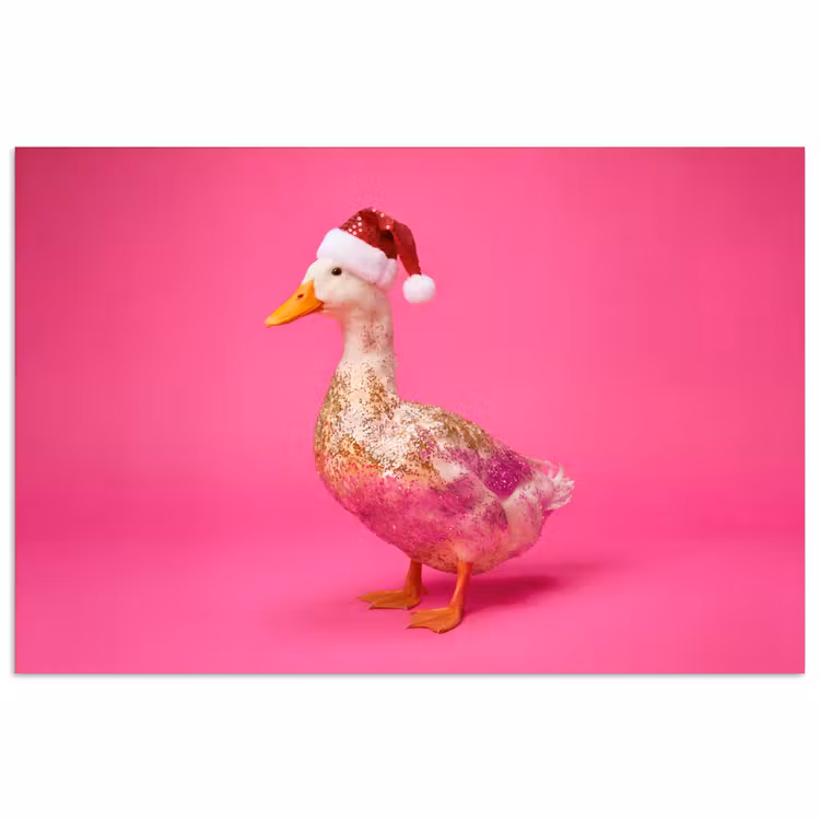 Poster - Vogel - Kerst - Roze