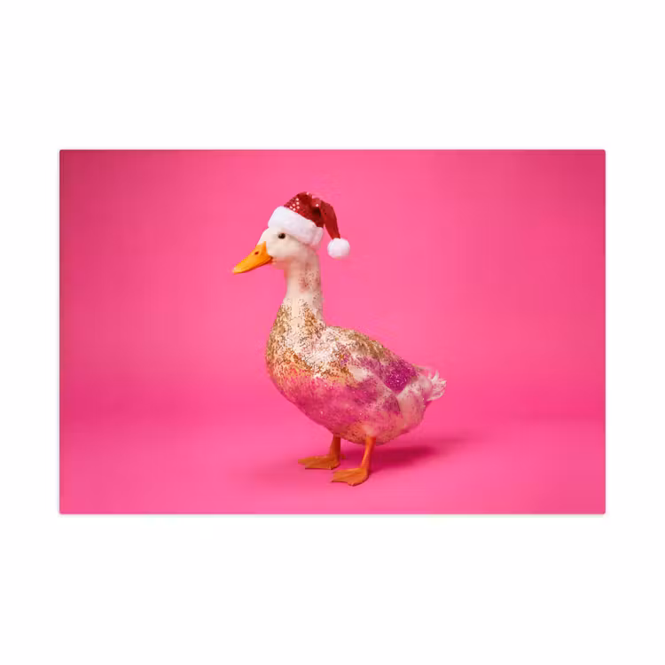 Speelkleed - Vogel - Kerst - Roze