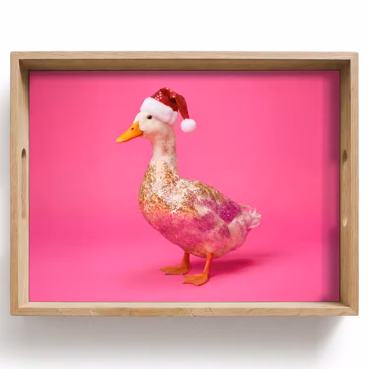 Dienblad - Vogel - Kerst - Roze