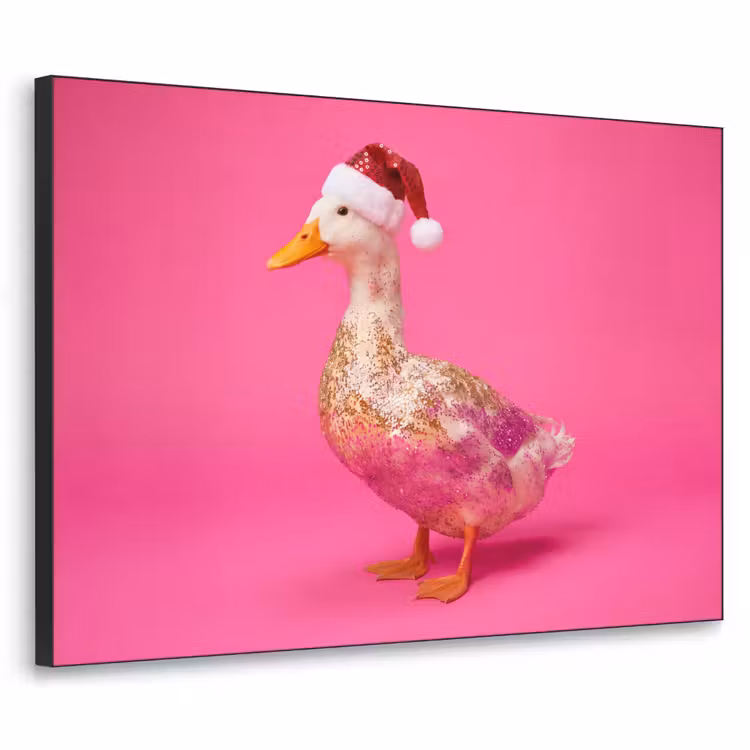 Art Frame - Vogel - Kerst - Roze