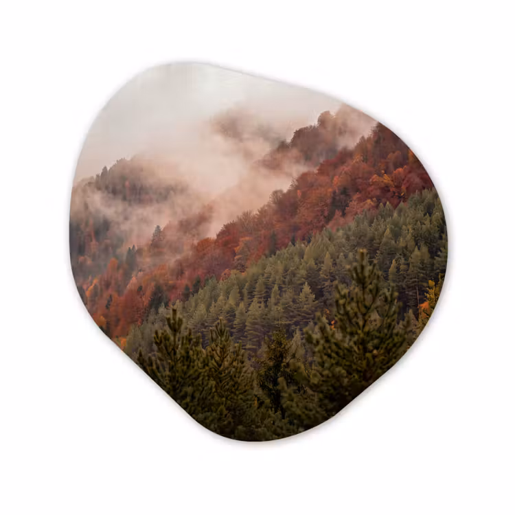 Organisch schilderij - Glas - Bos - Mist - Natuur — 1