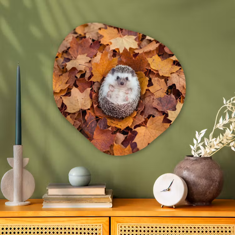 Organisch schilderij - Glas - Egel - Herfst - Dieren — 2