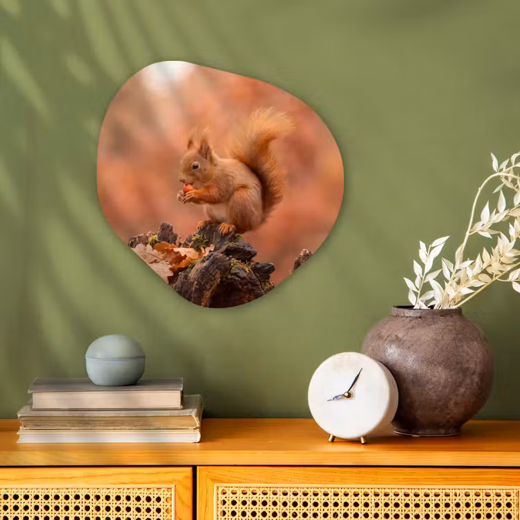 Organisch schilderij - Forex - Eekhoorn - Besje - Herfst — 2
