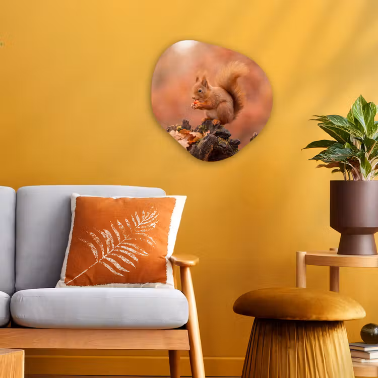 Organisch schilderij - Forex - Eekhoorn - Besje - Herfst — 3