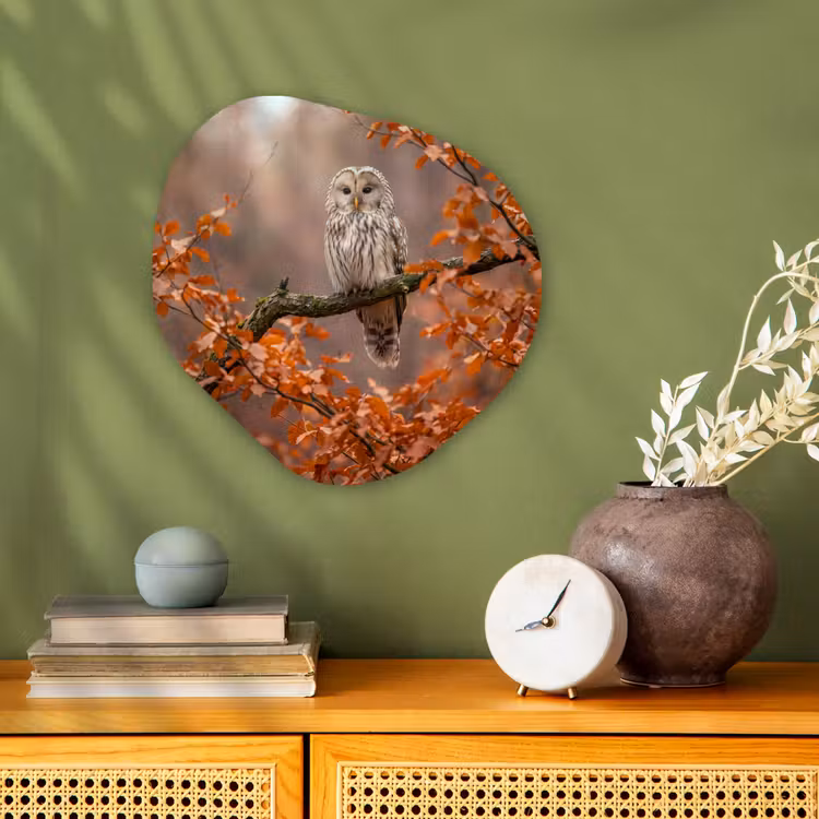 Organisch schilderij - Forex - Vogel - Boom - Herfst — 2