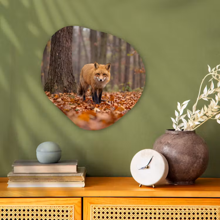 Organisch schilderij - Forex - Vos - Herfst - Bladeren — 2