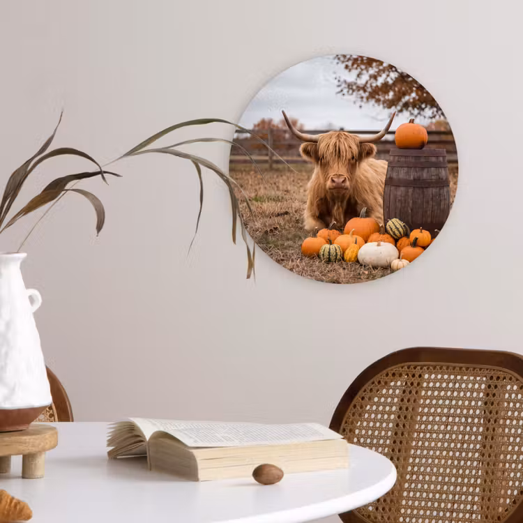 Wandcirkel - Glas - Rund - Pompoen - Herfst — 4