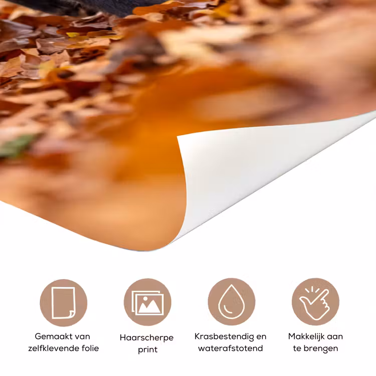 Deursticker - Vos - Herfst - Bladeren — 3