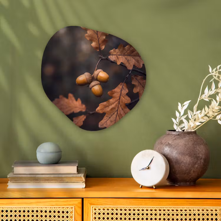 Organisch schilderij - Forex - Eikels - Bladeren - Natuur — 2