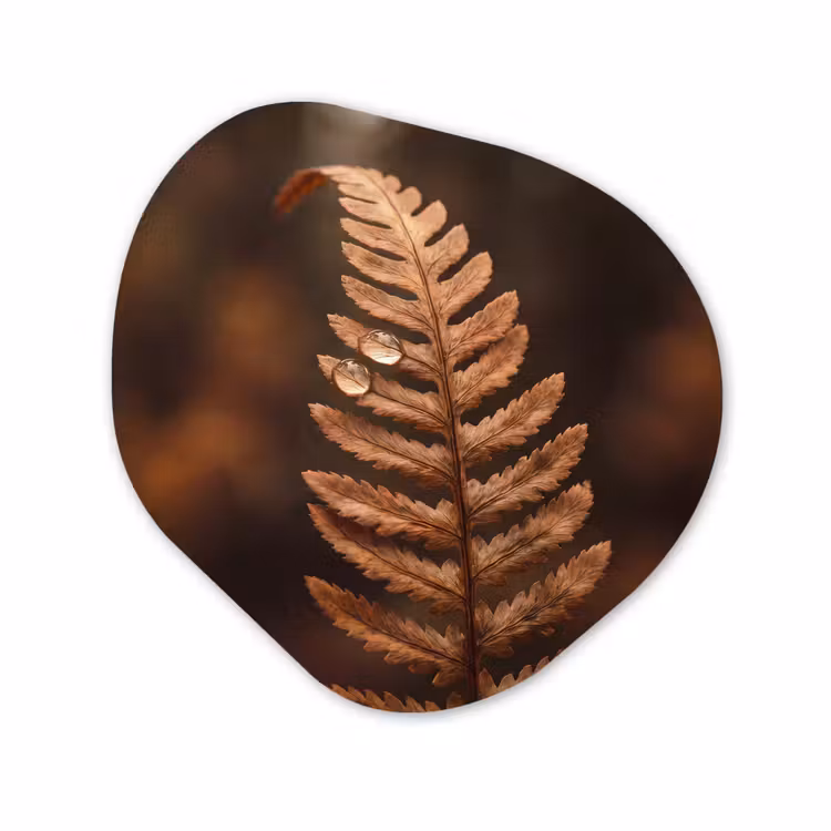 Organisch schilderij - Glas - Blad - Druppels - Natuur
