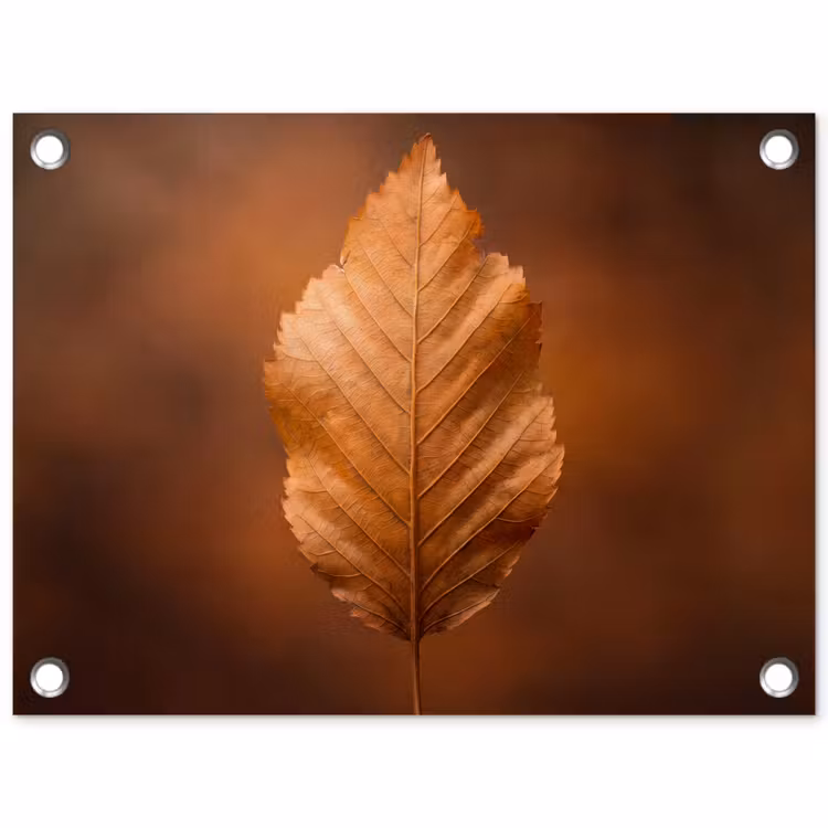 Tuinposter - Blad - Droog - Natuur