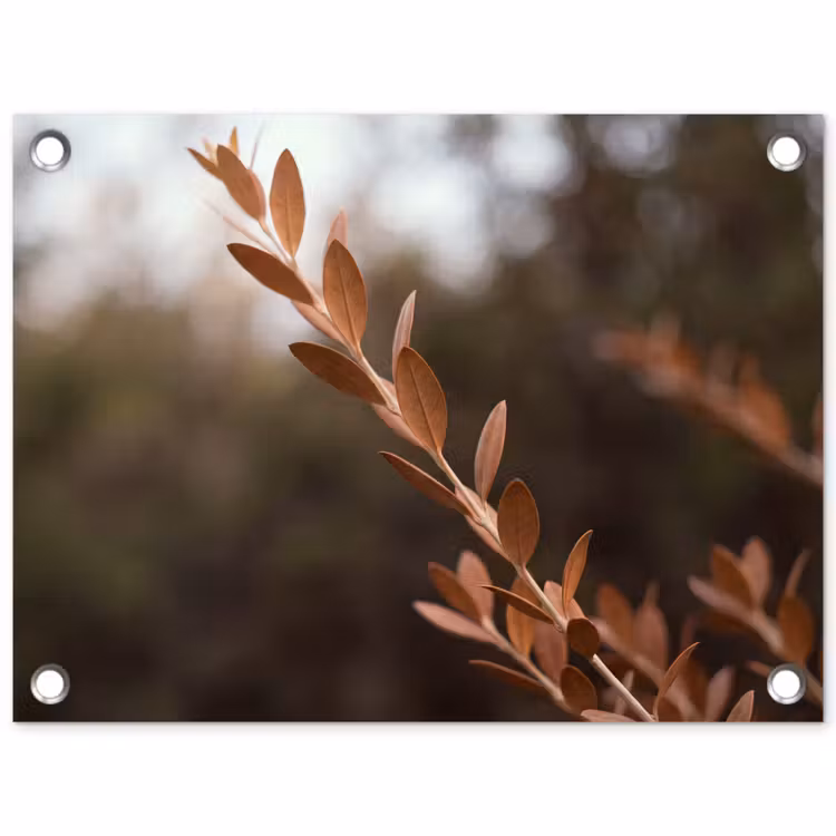 Tuinposter - Bladeren - Herfst - Natuur