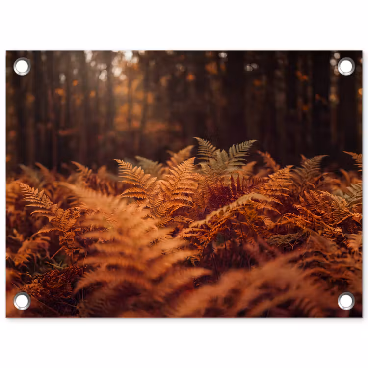 Tuinposter - Planten - Herfst - Bos