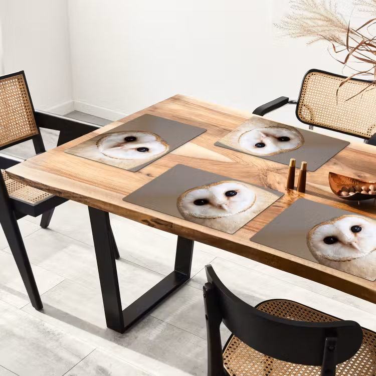 Placemat - 6 stuks - Uil - Bruin - Wit — 3