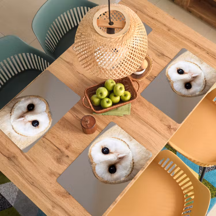 Placemat - 6 stuks - Uil - Bruin - Wit — 4